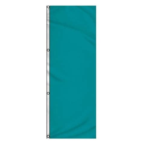 Parrot Blue Solid Color 3x8ft DuraFlag Banner - American Flagpole Company