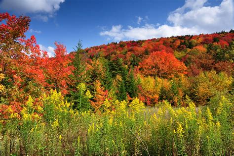 Discover West Virginia: Where to Go for Early Autumn Color in WV