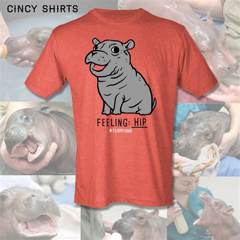 Fiona the Hippo Merchandise Gets the Cincinnati Zoo $480M | Money