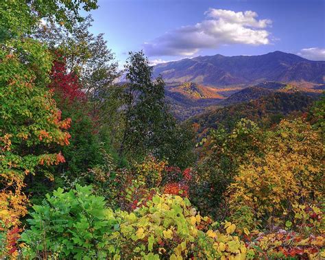 gatlinburg, tn fall colors | ... Fall, as seen from the scenic overlook above Gatlinburg, Tenn ...