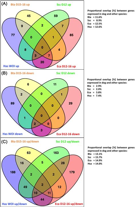 Venn diagrams showing the intersection between genes differentially ...