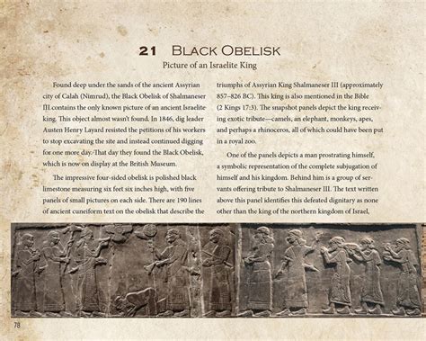 Archaeology and the Bible (Hardcover) | Answers in Genesis