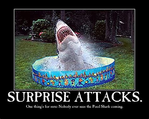 pool shark | Shark, Laugh, Bones funny