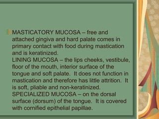 Oral Mucosa | PPT