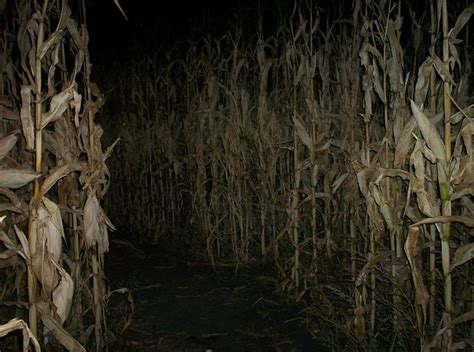 Flashlight Corn Maze - Sweet Eats Adventure Farm