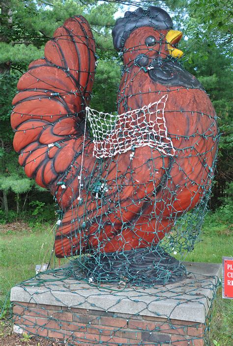 Rooster & Chicken Statues | RoadsideArchitecture.com