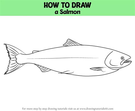 How to Draw a Salmon (Fishes) Step by Step | DrawingTutorials101.com