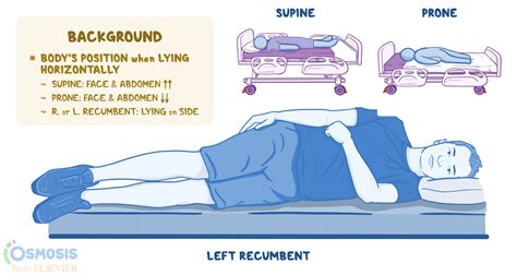 Patient Positioning Cheat Sheet Complete Guide For 2023 | atelier-yuwa.ciao.jp