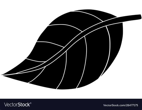 Black leaf silhouette nature Royalty Free Vector Image