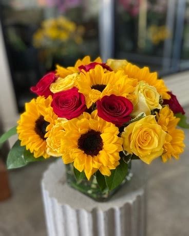 Sunflower Cube with Red Roses [With Free Delivery]