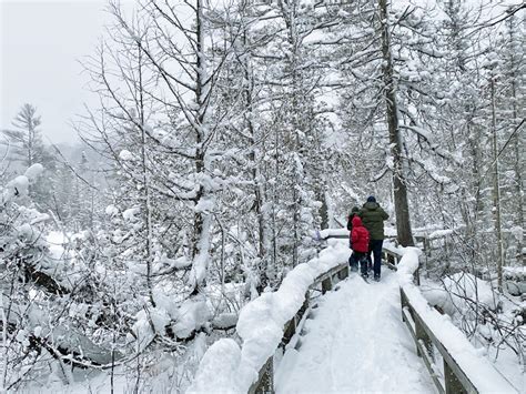 2025 Winter Activities in Michigan: Ski Resorts, Snow Tubing, Ice ...