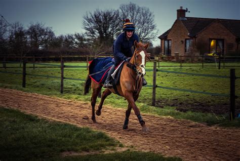 Horses – Laura Morgan Racing