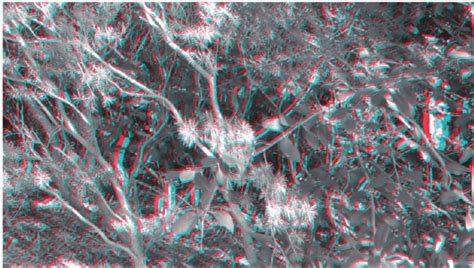 Red–cyan anaglyph stereo photograph presenting a rather cluttered ...