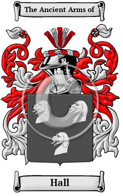 Hall Name Meaning, Family History, Family Crest & Coats of Arms