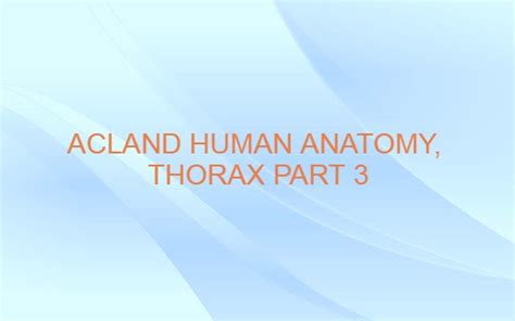 Acland human anatomy, Thorax part 3