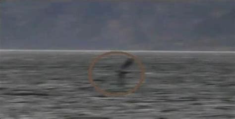 LOCH NESS MONSTER: New Picture of Nessie?