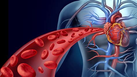 Cardiovascular Disease - Articles | Dis-Chem