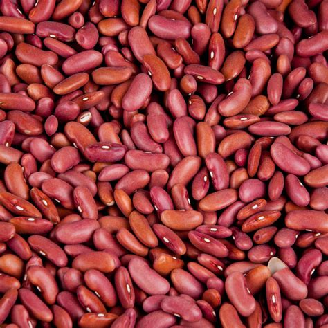 RED KIDNEY BEANS (RED PEAS) BULK 2.27 KG – Sam's Bread & Butter Express