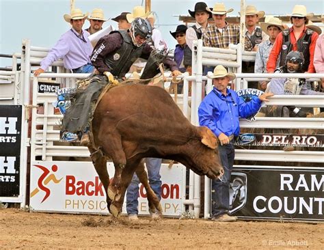 Cole Echols Winner 2012 35th GPM Bull Ride | Bull, Riding, Cowboy up