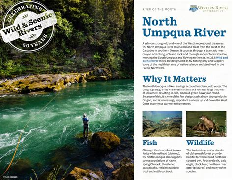 River of the Month - The North Umpqua River by Western Rivers ...