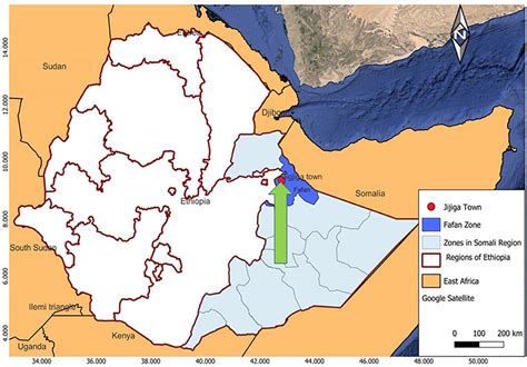 Frontiers | Molecular epidemiology of tuberculosis in the Somali region, eastern Ethiopia