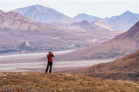 Independent Activities | Denali National Park Alaska