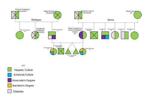 Ten Free Editable Genogram Examples