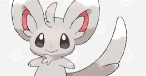 Minccino - Evolution Chart & Location | Pokemon Sword Shield - GameWith