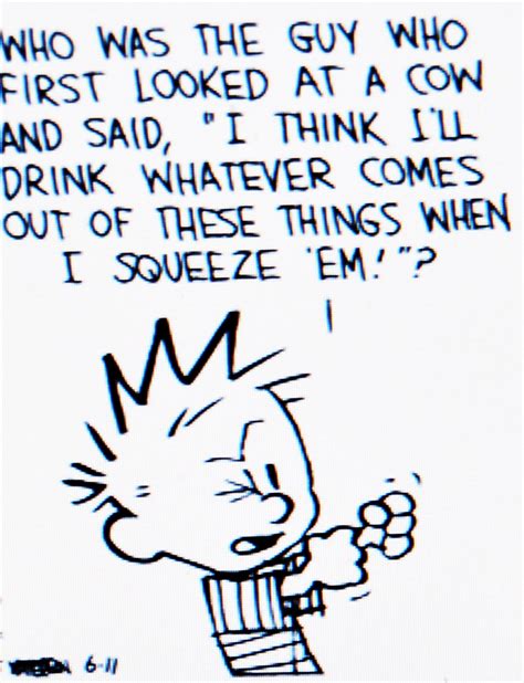 Calvin And Hobbes Quotes Funny - ShortQuotes.cc