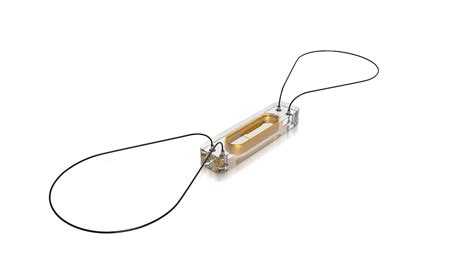 CardioMEMS HF System | Willard Walker Heart Institute