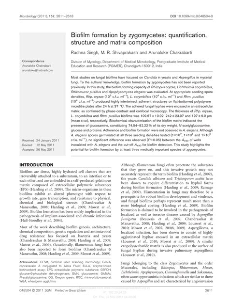 (PDF) Biofilm formation by zygomycetes: Quantification, structure and matrix composition