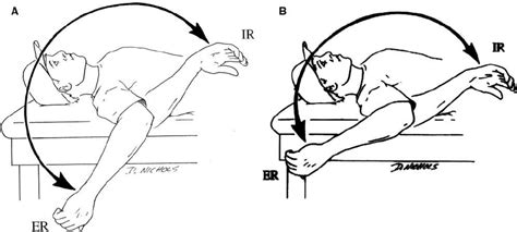 Total rotational motion concept: the assessment of external rotation... | Download Scientific ...