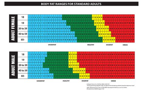 body fat percentage athletes male - Body Fat Percentage