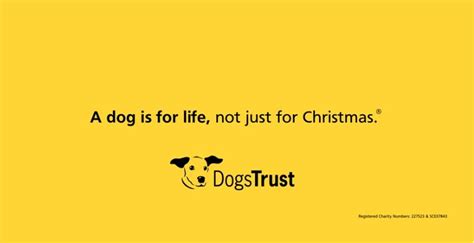 Anti-Pet Neglection Ads : Dogs Trust