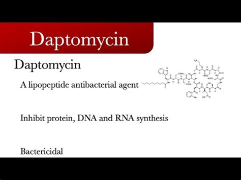 Daptomycin: lipopeptide antibacterial drug - YouTube