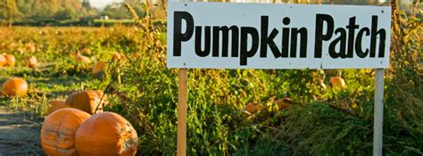 Pumpkin Patch Farms - October 2022 Newsletter - Byrd's Branch Campground