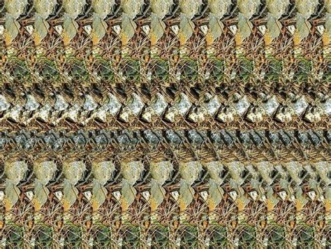 Stereograms to see hidden 3D images (30 pics) - Izismile.com