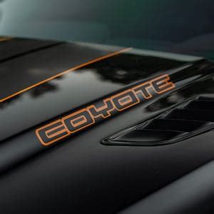 Mustang GT 2-tone Coyote Decal pair CUSTOM TEXT - Etsy