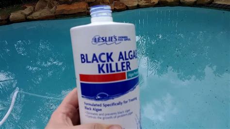 Leslie's Black Algae Killer Review-Mommy thoughts - YouTube