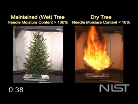 Christmas Tree Fire Safety - Fire Safety Search