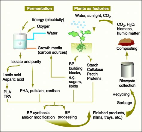 Biodegradable Polymers for the Environment | Science