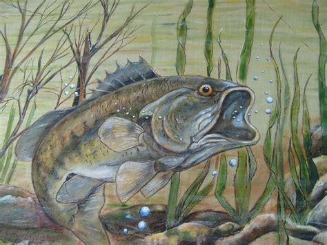 large mouth bass painting | Fish art, Wildlife paintings, Fish painting