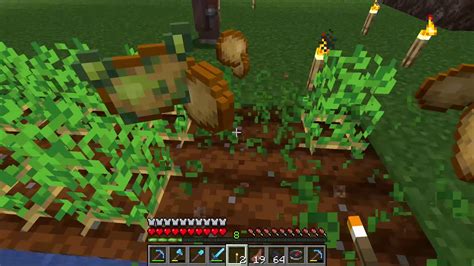 How to get a Poisonous Potato -Minecraft - YouTube