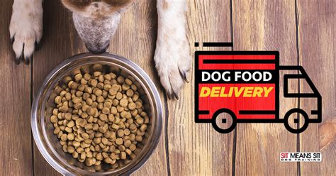 Looking for Fresh Dog Food? Check Out These Delivery Services | Sit ...