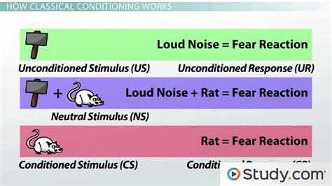 Classical Conditioning Examples