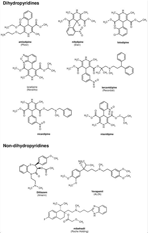 Dihydropyridine and non-dihydropyridine CCBs. | Download Scientific Diagram