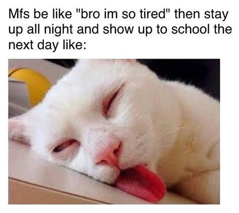 Top Funniest Sleep Memes: Take Your Portion of Good Laugh