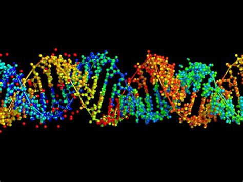 The timestamp that can tell an RNA molecule’s age — to the hour