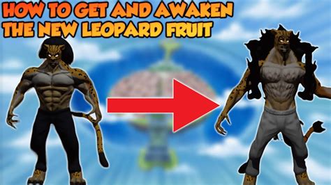 [AOPG] HOW TO GET AND AWAKEN THE NEW LEOPARD FRUIT IN A ONE PIECE GAME | Roblox - YouTube