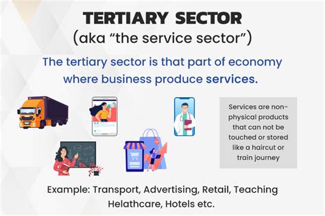 Tertiary Sector And Its Potential - GeeksforGeeks